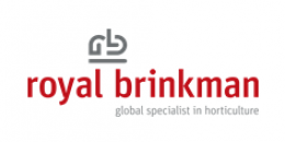 Logo Brinkman Deutschland GmbH
